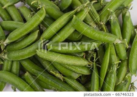 Big pile of closed green peas. 66746323