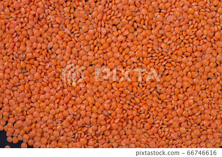 Orange lentils full background top view. 66746616