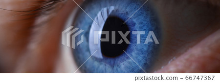Male eye blu color super macro closeup shot. Male eye blu color super macro closeup shot. 66747367