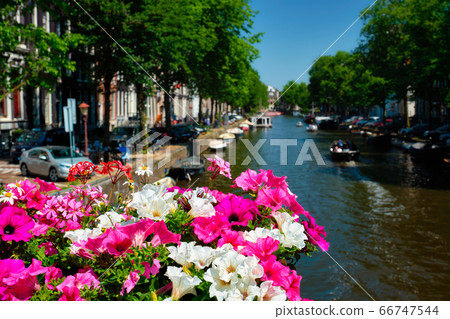 Amsterdam canal and flowers 66747544