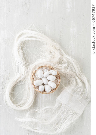 natural silkworm cocoons shells are source of silk natural silkworm cocoons shells are source of silk 66747937