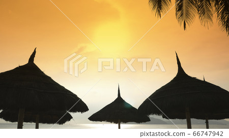 Silhouettes of beach chairs in the evening sky in Vietnam with palm trees. View of umbrellas from a creek on the beach during sunset. Silhouettes of beach chairs in the evening sky in Vietnam with palm trees. View of umbrellas from a creek on the beach during sunset. 66747942