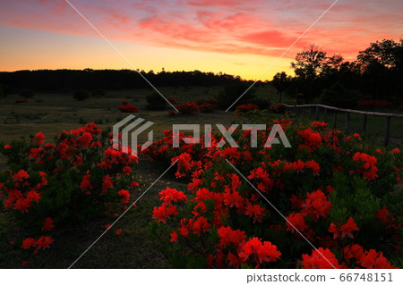 Agalea of the Appi Kogen in the morning glow 66748151