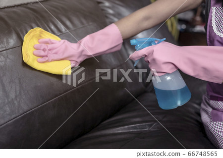 Woman wipe sofa with germicidal spray and wipe with towel. 66748565