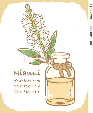 Illustration material for bottles of niauli and essential oils 66748715