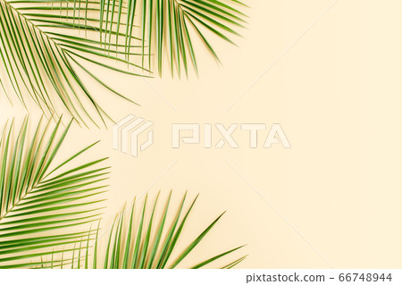 Tropical leaf on yellow background. Flat lay, top view Tropical leaf on yellow background. Flat lay, top view 66748944