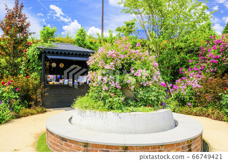 玫瑰花園咖啡架 玫瑰花園咖啡架 66749421