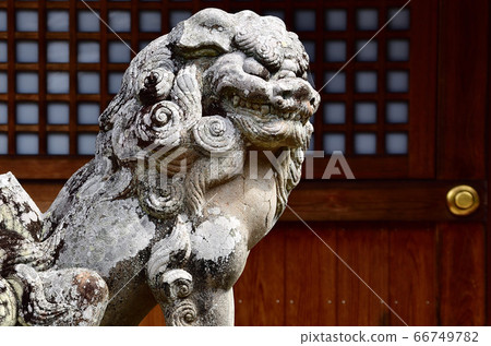 Guardian dog 66749782