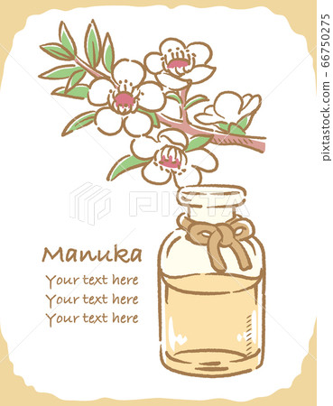 Manuka and essential oil bottle illustration material 66750275