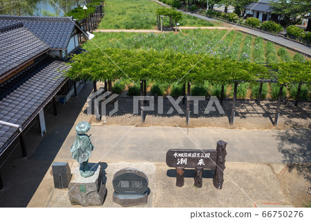 igo吾板條A魚花園 66750276