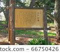 World Heritage Site, Miho no Matsubara 66750426