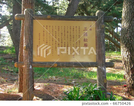 World Heritage Site, Miho no Matsubara 66750426