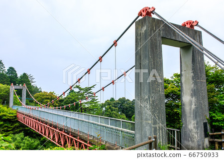 新鮮的綠色青山市民的吊橋[福岡縣福岡市南區] 66750933