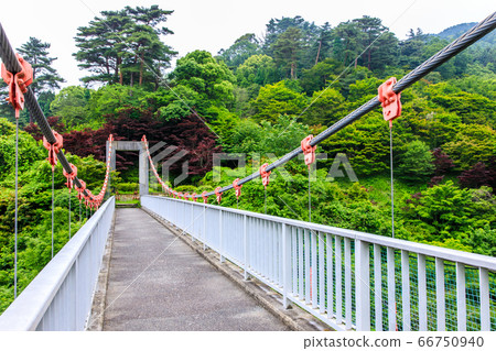 新鮮的綠色青山市民的吊橋[福岡縣福岡市南區] 66750940