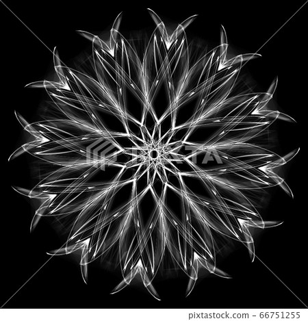 Beautiful dodecagon 20200623_007m monochrome 66751255