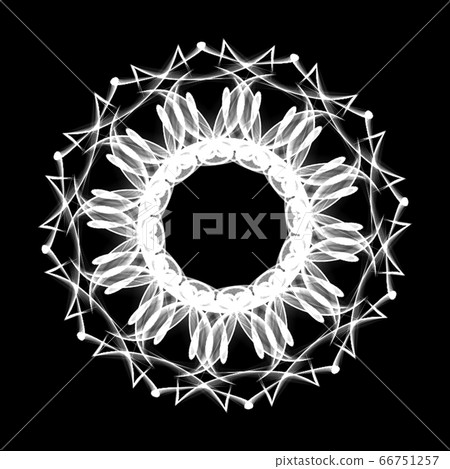 Beautiful dodecagon 20200623_008m monochrome 66751257