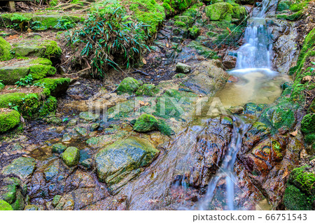 Fresh green oil mountain citizen's forest Morino mountain stream [Minami Ward, Fukuoka City, Fukuoka Prefecture] 66751543