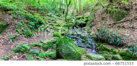 Fresh green oil mountain citizen's forest Panorama mountain stream [Minami Ward, Fukuoka City, Fukuoka Prefecture] 66751555