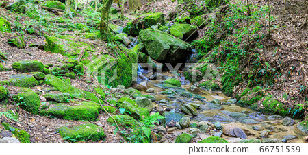 Fresh green oil mountain citizen's forest Panorama mountain stream [Minami Ward, Fukuoka City, Fukuoka Prefecture] 66751559