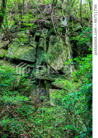 Fresh green oil mountain citizen's forest Tenguiwa [Minami Ward, Fukuoka City, Fukuoka Prefecture] 66751798