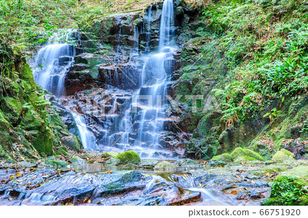 Shirubami no Taki, a forest of fresh green oil mountains [Minami Ward, Fukuoka City, Fukuoka Prefecture] 66751920
