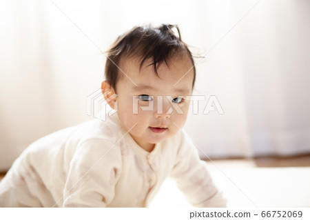 嬰兒爬行 66752069