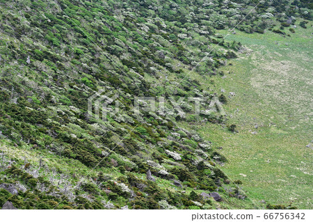 漢拿山 漢拿山 66756342
