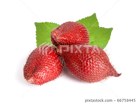 Salak fruit, Salacca zalacca an isolated on white 66758445