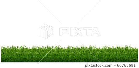 Grass Frame With And White Background Grass Frame With And White Background 66763691