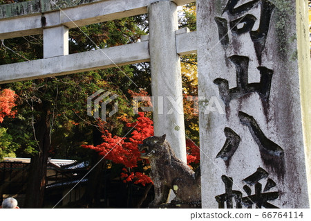 Temuzan Hachimangu Torii，Komainu，Todaiji寺院地面，秋天的落葉 66764114