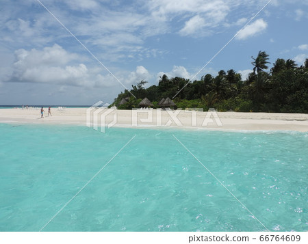 馬爾代夫的海灘 66764609