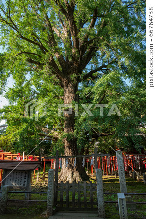 岸志母神社以大王子為基地 66764738