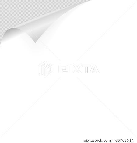 Realistic curled paper on transparent background 66765514