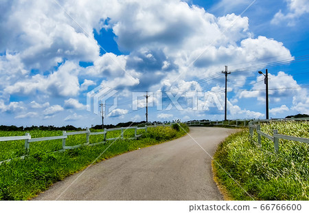 臺灣屏東墾丁水蛙窟大草原Taiwan Pingtung Kenting prairie 臺灣屏東墾丁水蛙窟大草原Taiwan Pingtung Kenting prairie 66766600