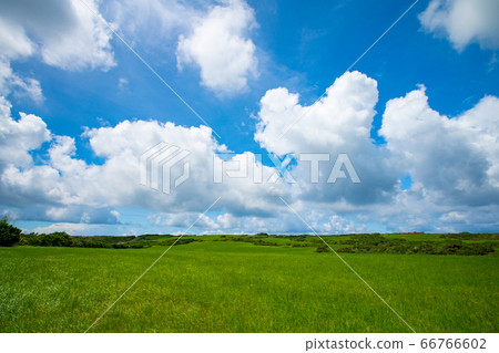 Taiwan Pingtung Kenting prairie, Pingtung, Taiwan 66766602