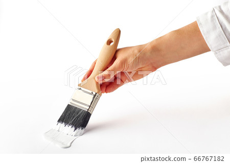 Female hand painting with brush wall surface. 66767182