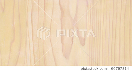 Wood grain texture 66767814