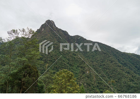 Cocora Valley 66768186