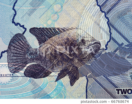 Fish a portrait from Ugandan money Fish a portrait from Ugandan money 66768674
