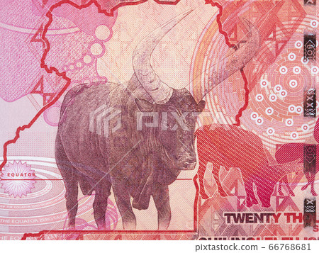 Buffalo a portrait from Ugandan money Buffalo a portrait from Ugandan money 66768681
