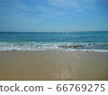 澳大利亞海（Rottnest島） 66769275
