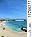 澳大利亞海（Rottnest島） 66769277