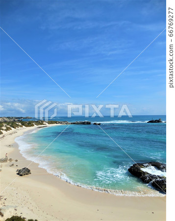 澳大利亞海(Rottnest島) 澳大利亞海(Rottnest島) 66769277