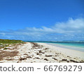 澳大利亞海（Rottnest島） 66769279