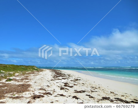 澳大利亞海(Rottnest島) 澳大利亞海(Rottnest島) 66769279