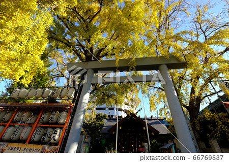 Namire Inari Shrine 66769887