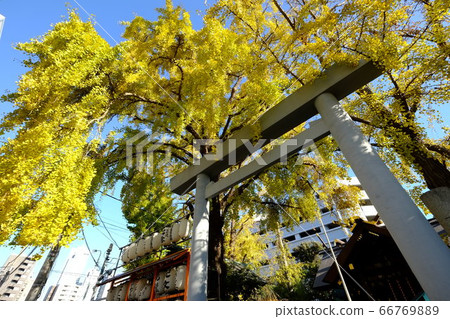 Namire Inari Shrine 66769889