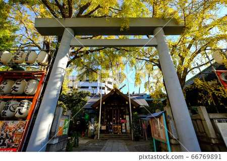 Namire Inari Shrine 66769891
