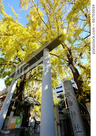 Namire Inari Shrine 66769894