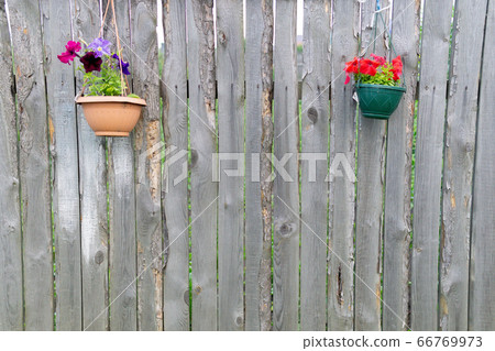 wooden fence with decorative plants place for text wooden fence with decorative plants place for text 66769973